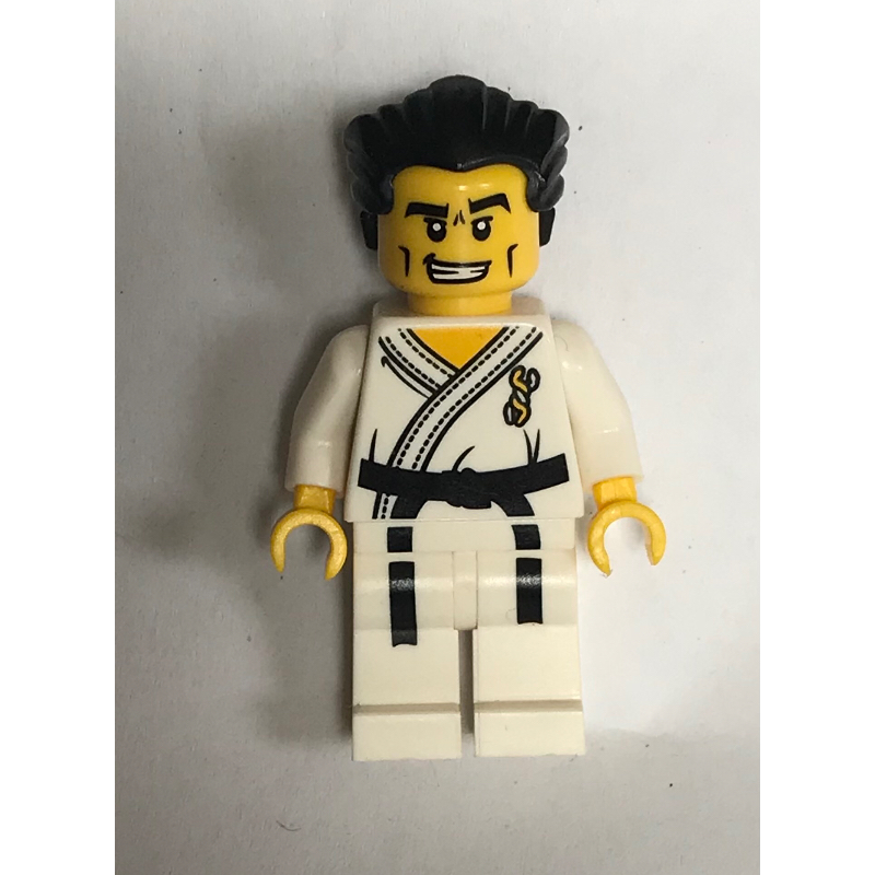 Maître karaté (Karate Master)