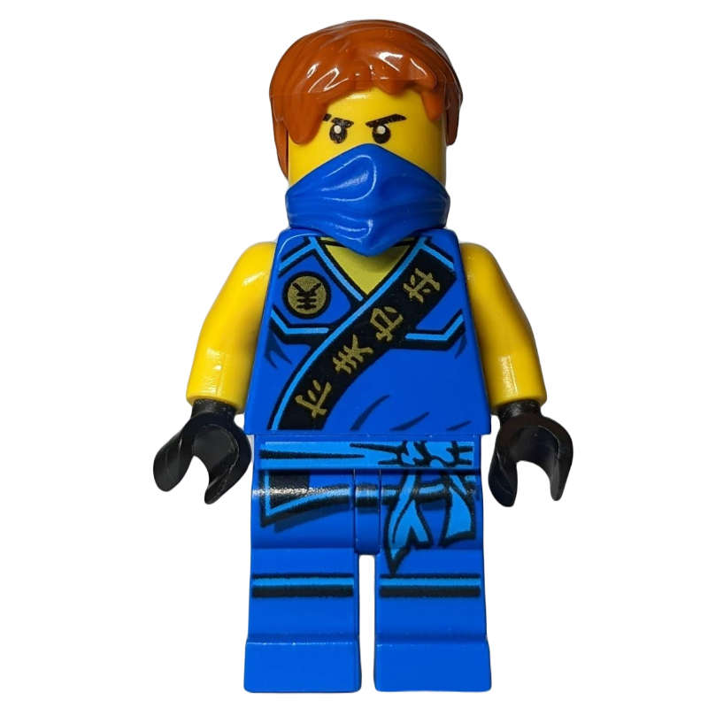 Jay avec bandana (Jay with Bandana)