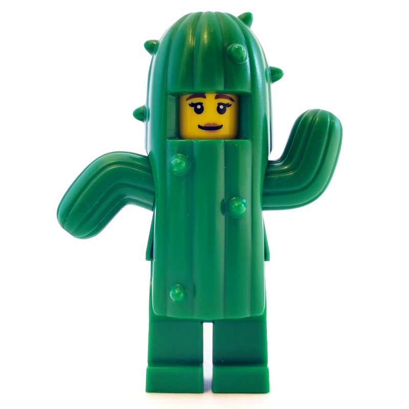Cactus fille (Cactus Girl)