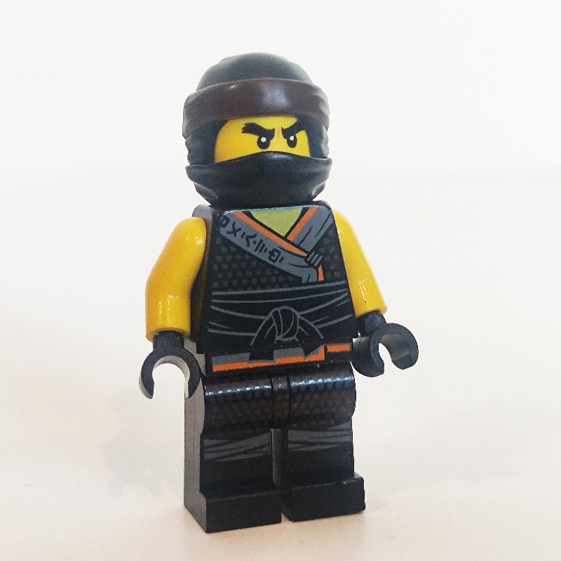 Cole (fils de Garmadon) (Cole (Sons of Garmadon))