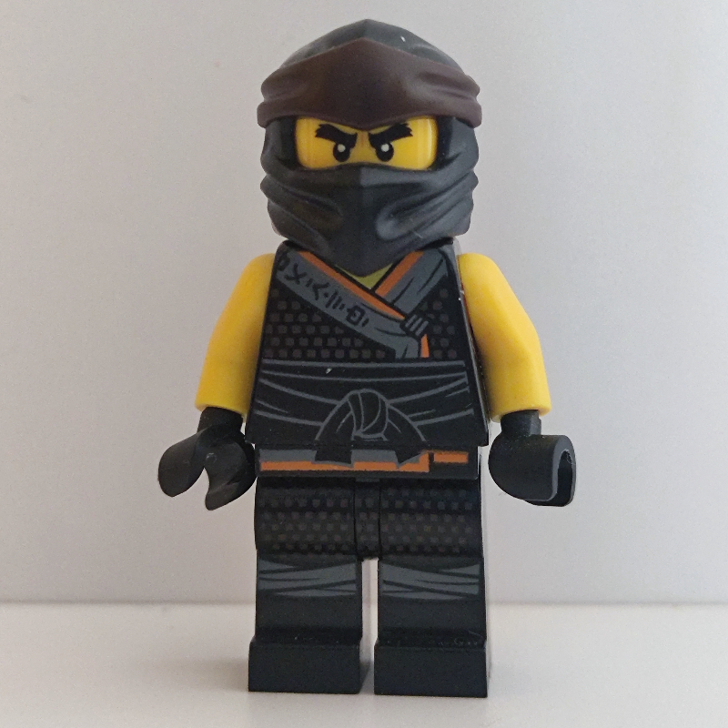 Les enfants de Garmadon robe (legacy) (Cole in Sons of Garmadon Robe (Legacy))