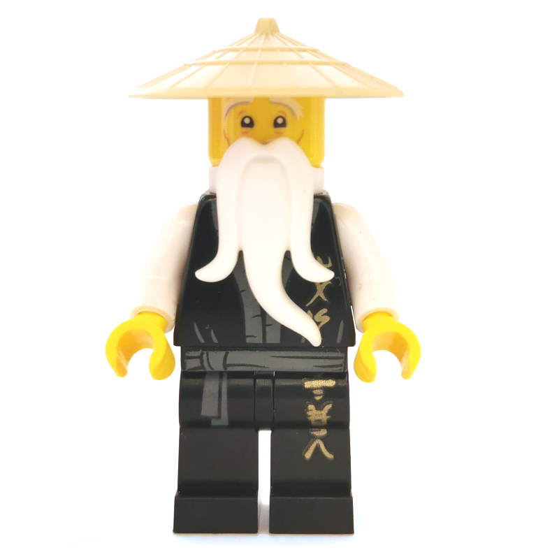 Maître wu avec lettrage d'or sur les robes (Master Wu with Gold Lettering on Robes)