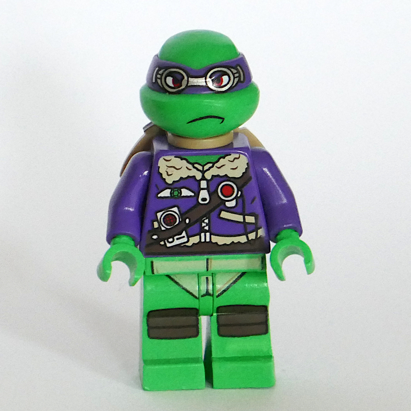 Donatello dans une tenue violette (Donatello in Purple Outfit)
