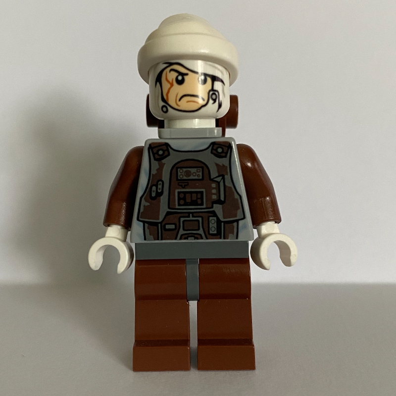 Dengar, tête blanche, jambes brun rougeâtre (Dengar, White Head, Reddish Brown Legs)
