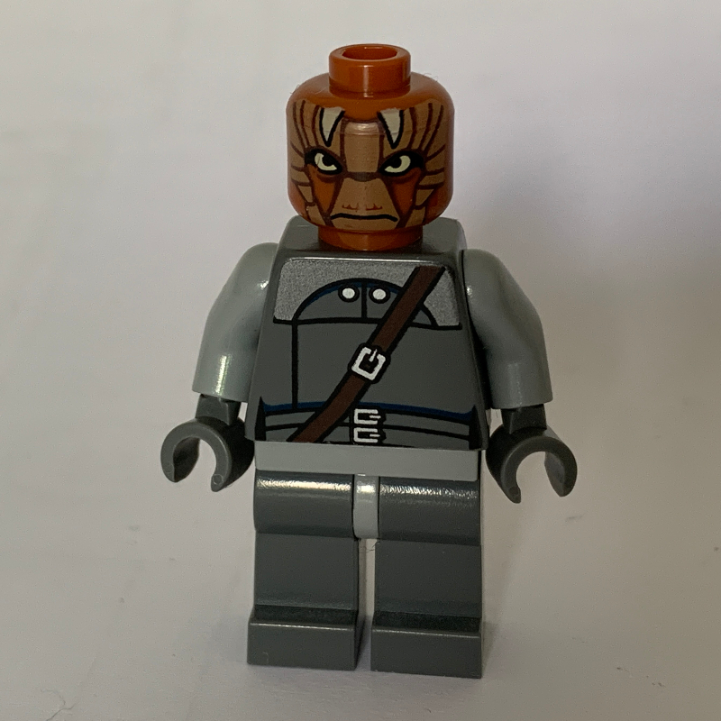 Nikto garde (Nikto Guard)