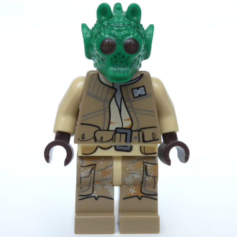 Combattant de l'alliance rodienne (Rodian Alliance Fighter)