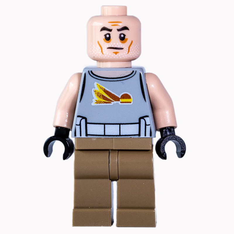 Clone commandant gregor, vieux (Clone Commander Gregor, Old)