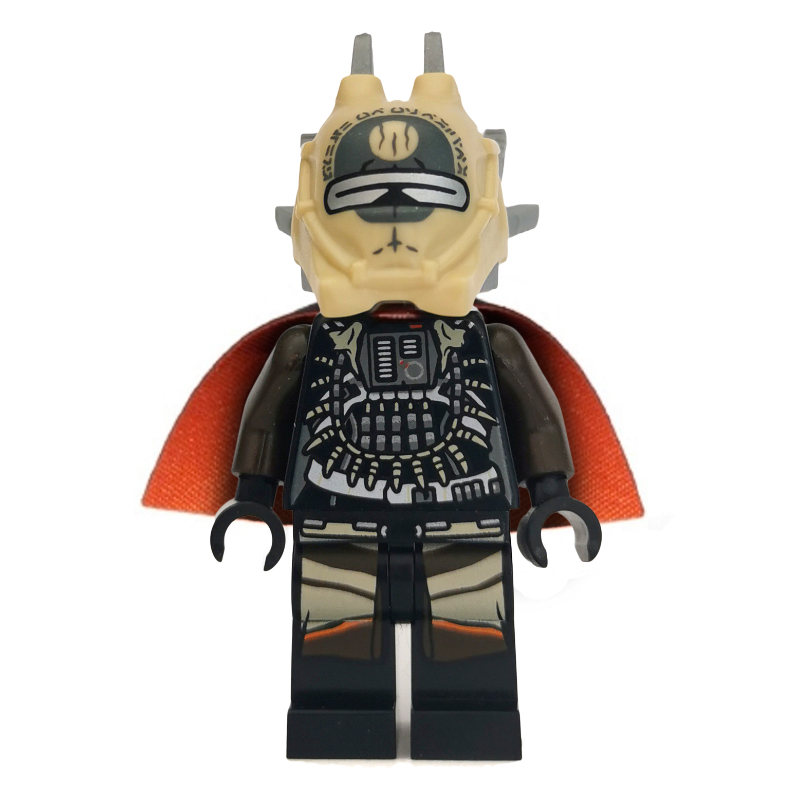 Enfys nid (Enfys Nest)