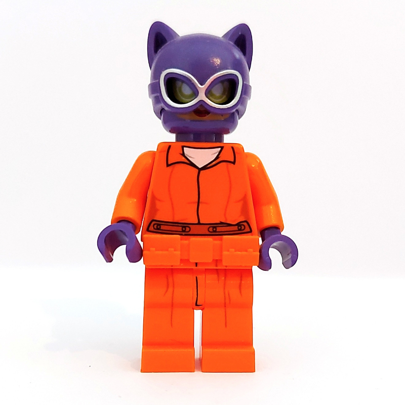 Catwoman dans les vêtements de prison (Catwoman in Prison Clothes)