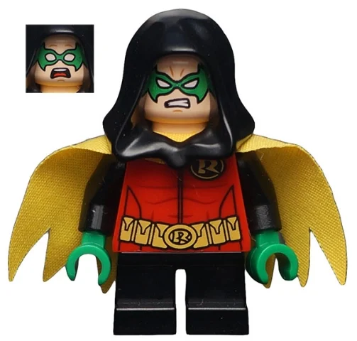 Robin avec capuche noire (Robin with Black Hood)