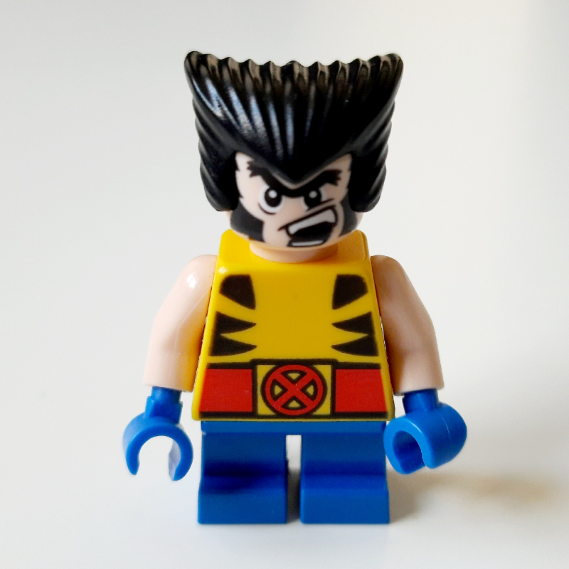 Wolverine aux jambes courtes (Wolverine with Short Legs)
