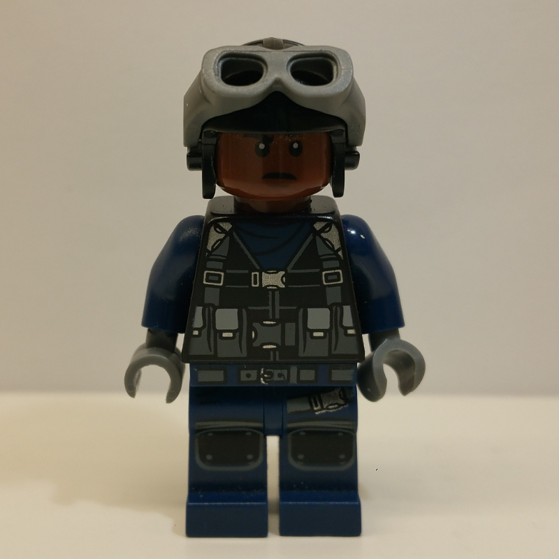 Garde dans le casque avec des lunettes (Guard in Helmet with Goggles)
