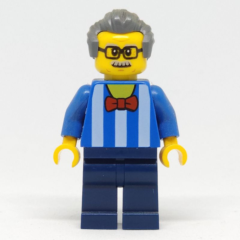 Torse bleu, jambes bleu foncé, cheveux gris bleuté foncé - sans motif imprimé au dos (Blue Torso, Dark Blue Legs, Dark BLuish Grey Hair - Without Back Print)