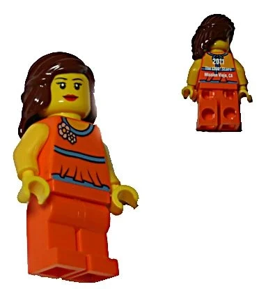 Torse orange, jambes orange, cheveux bruns rougeâtres - mission viejo (Orange Torso, Orange Legs, Reddish Brown Hair - Mission Viejo)
