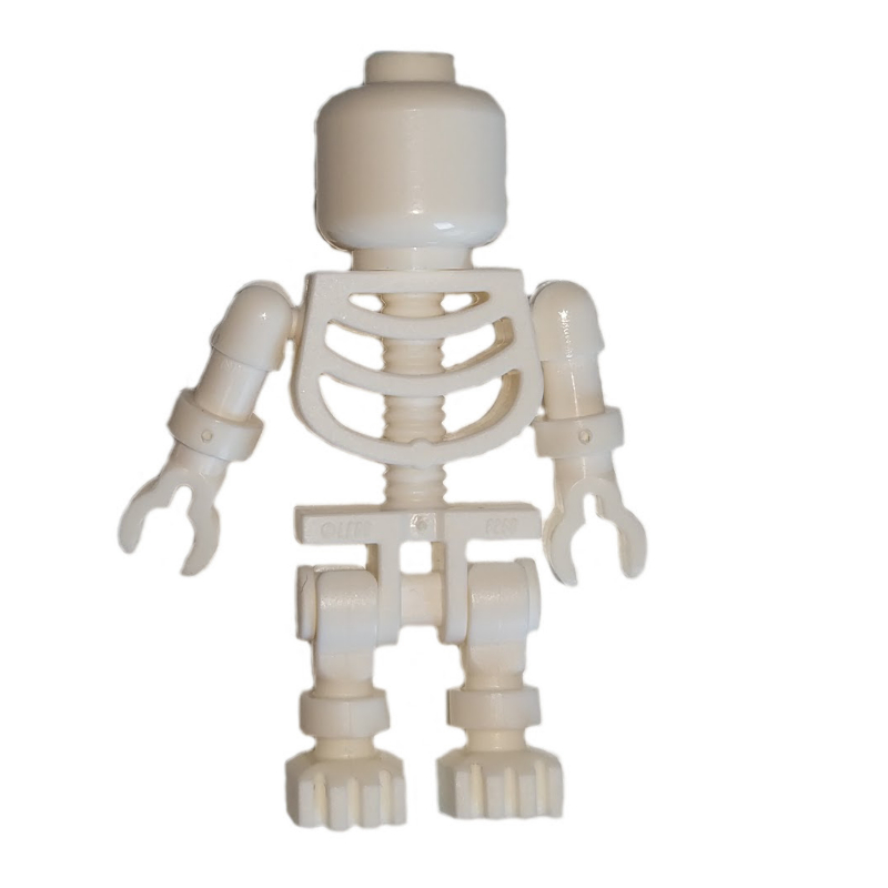 Squelette, tête plate (Skeleton, Plain Head)