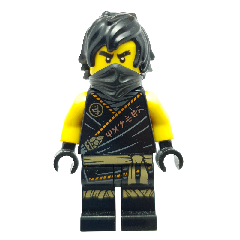 Cole avec cheveux (héritage) - torse maître (Cole with Hair (Legacy) - Master Torso)