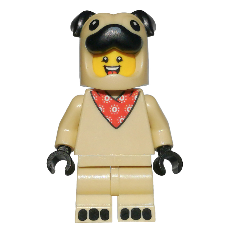 Homme déguisé en carlin (Pug Costume Guy)