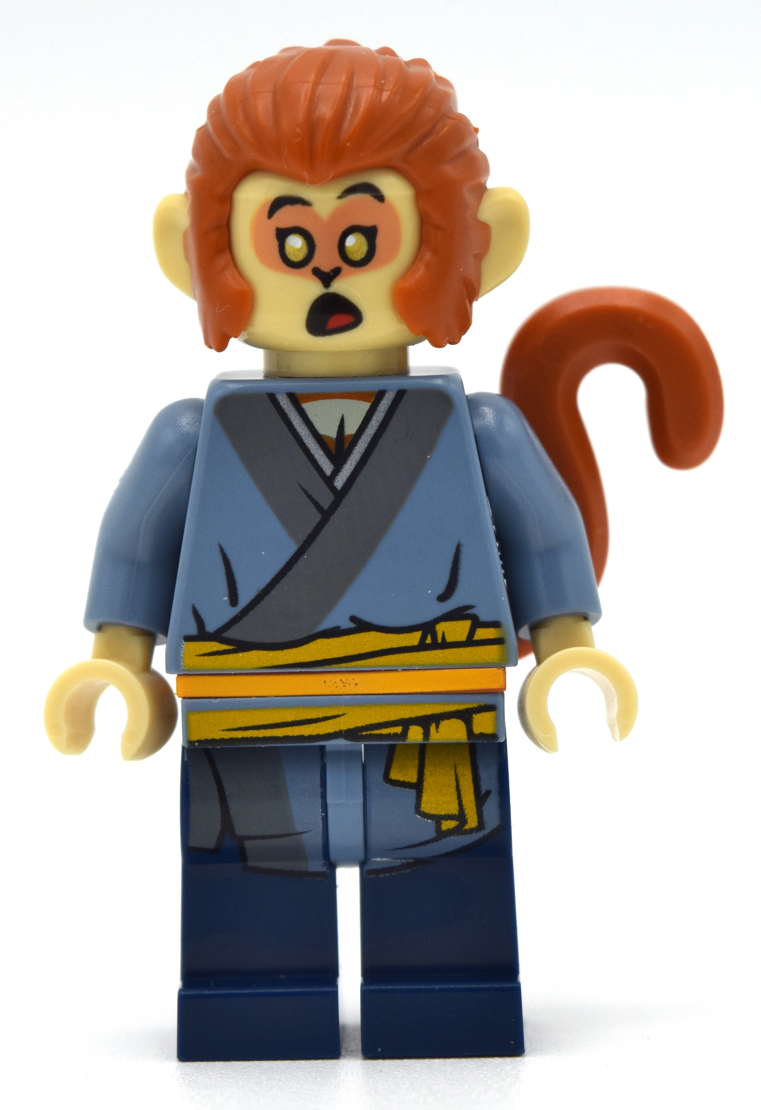 Apprenti singe roi (Apprentice Monkey King)