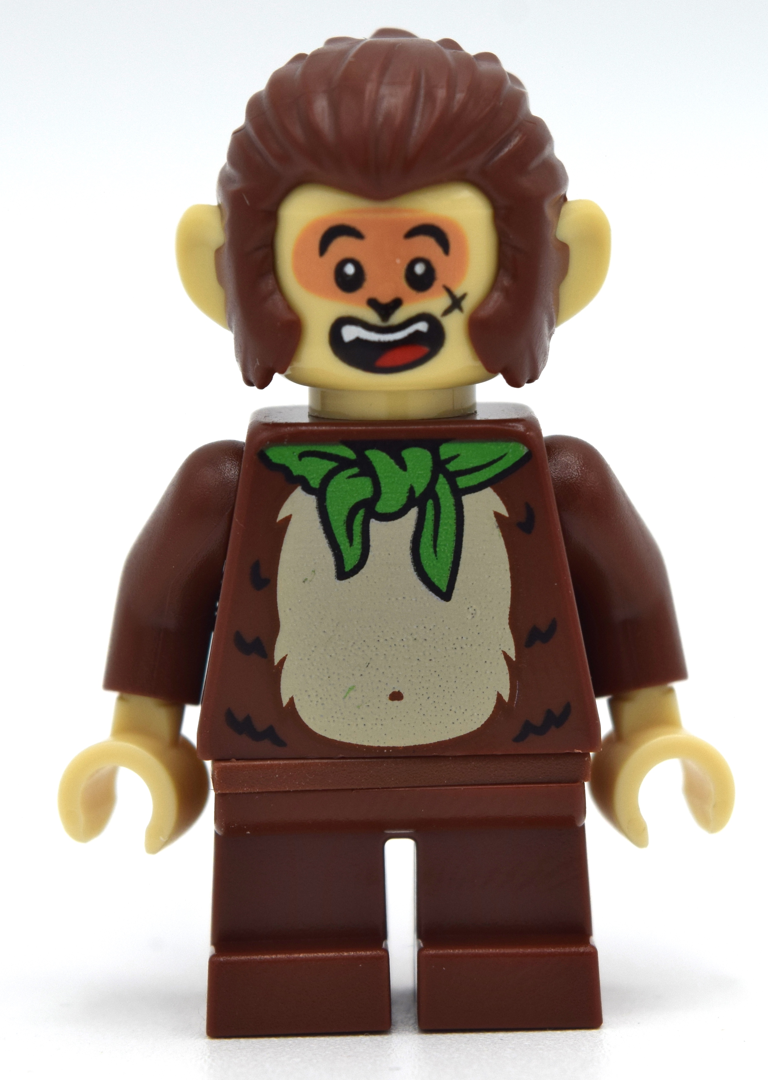Frère singe (Brother Monkey)