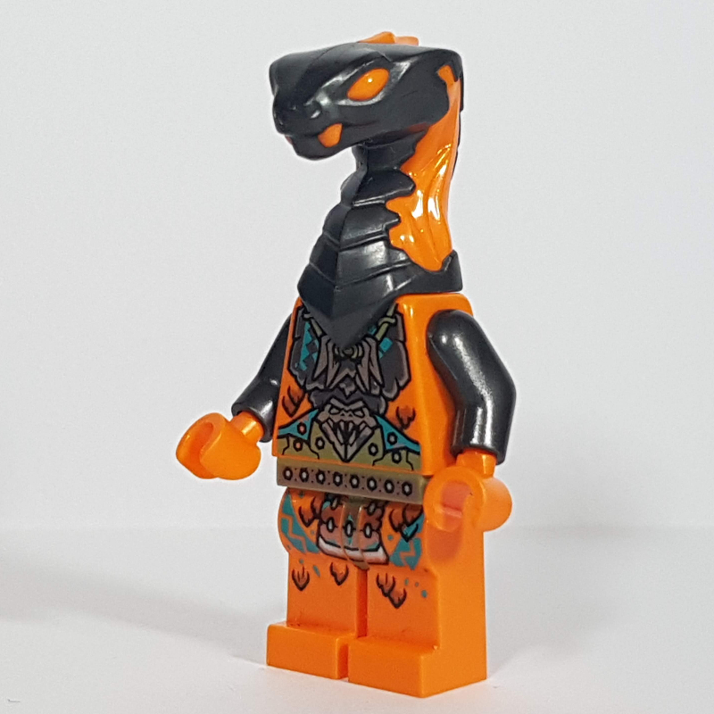 Boa destructor (Boa Destructor)