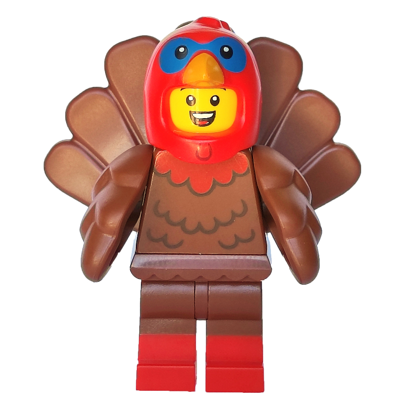 Costume de dinde (Turkey Costume)