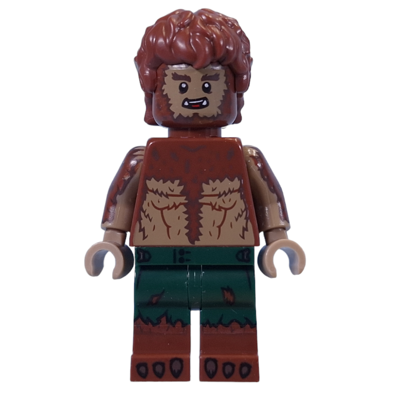 Le loup-garou (The Werewolf )