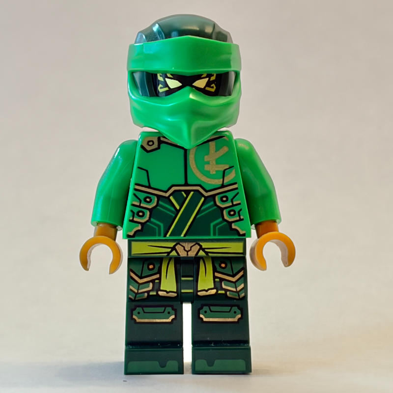 Lloyd, enveloppe de ninja (Lloyd, Ninja Wrap)