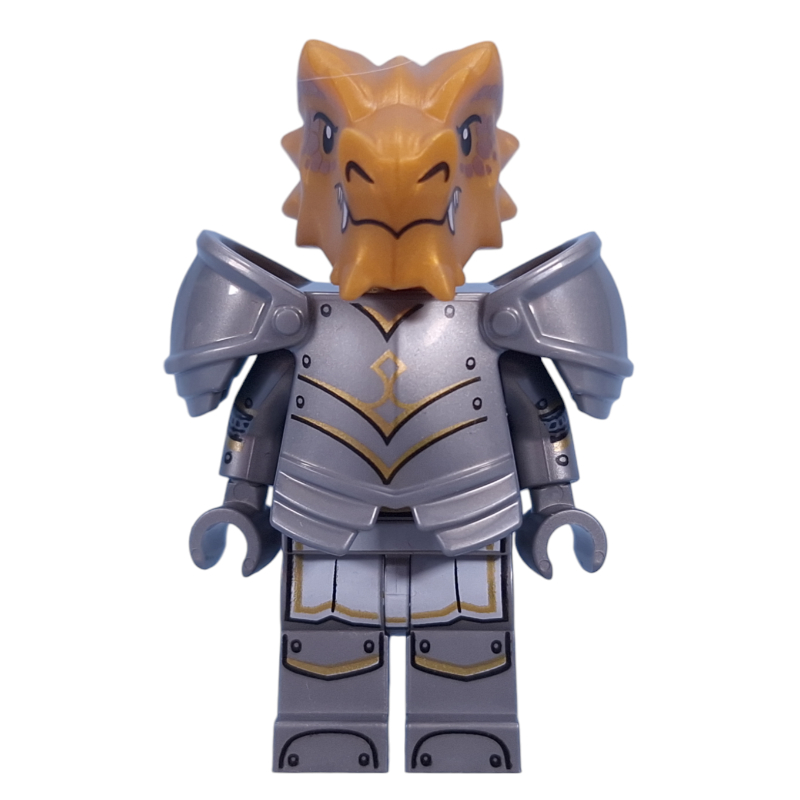 Paladin drakéide (Dragonborn Paladin)