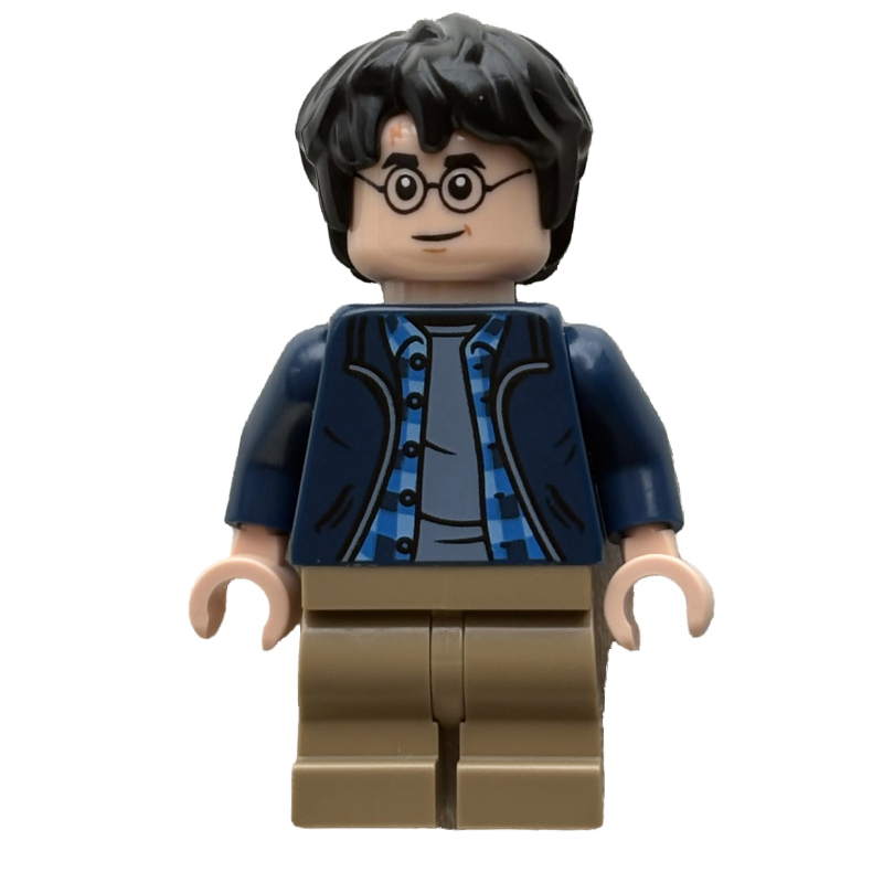 Harry Potter (Harry Potter)