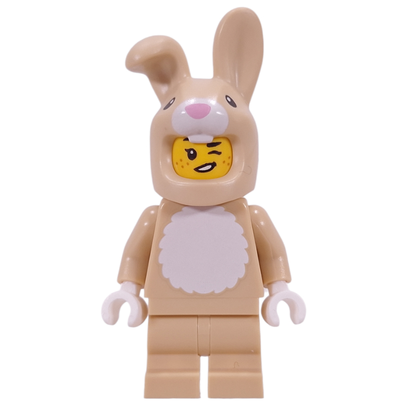 Costume de lapin (Rabbit Suit)