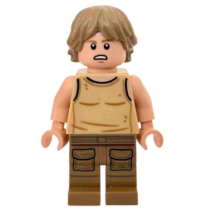 Luke Skywalker, tenue de dagobah (jeu intelligent) (Luke Skywalker, Dagobah Outfit (SMART Play))