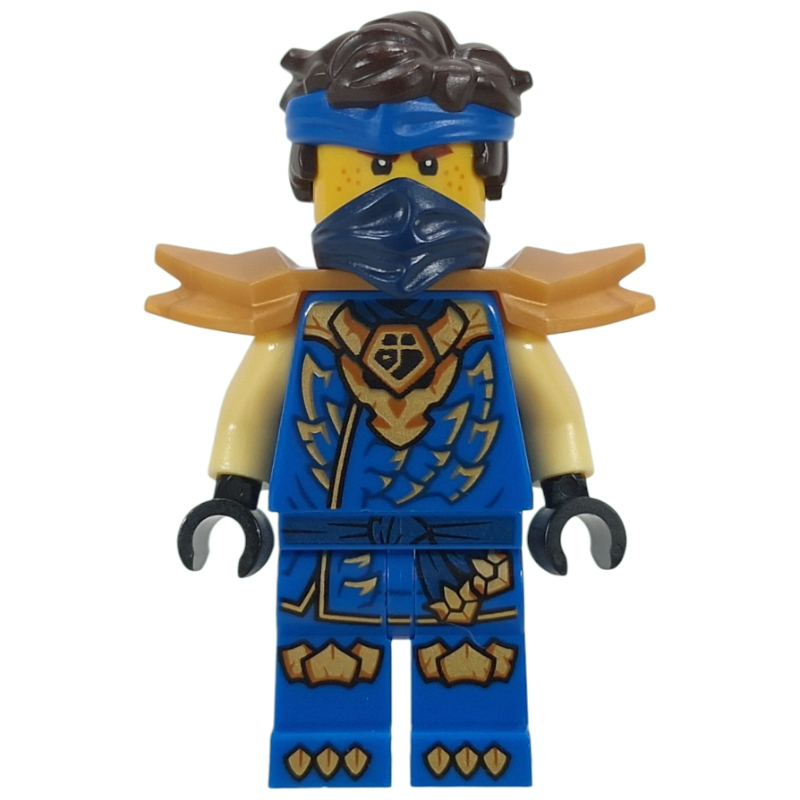 Jay, armure d'épaule (robes draconiennes) (Jay, Shoulder Armor (Draconus Robes))