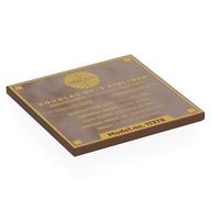 Visuel indicatif Rebrickable de Tuile 6 x 6 avec or 'DOUGLAS DC-3 AIRLINER', Stats motif imprimé (Tile 6 x 6 with Gold 'DOUGLAS DC-3 AIRLINER', Stats Print)