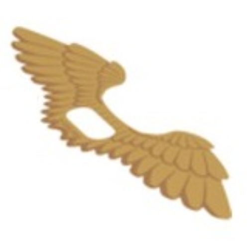 Ailes, prolongées avec des plumes imprimé (Wings, Extended with Feathers Print)