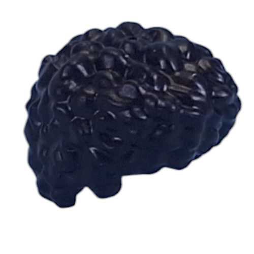Cheveux courts bouclés, aplatis (Hair Short Curly, Flattened)