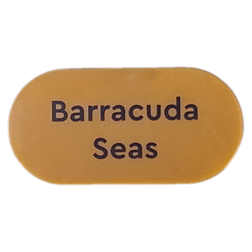 Visuel indicatif Rebrickable de Tuile ronde 2 x 4 avec motif imprimé 'Barracuda Seas' (Tile Round 2 x 4 with 'Barracuda Seas' Print)