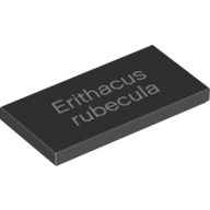 Visuel indicatif Rebrickable de Tuile 2 x 4 avec motif imprimé blanc 'Erithacus rubecula' (Tile 2 x 4 with White 'Erithacus rubecula' Print)