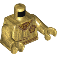 Pull torse, col en V avec emblème de Poudlard et motif imprimé cravate, bras et mains or nacré (Torso Sweater, V-Neck with Hogwarts Crest and Tie Print, Pearl Gold Arms and Hands)