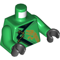 Robe de torse, garniture noire, motif imprimé dragon or, bras verts, mains noires (Torso Robe, Black Trim, Gold Dragon Print, Green Arms, Black Hands)