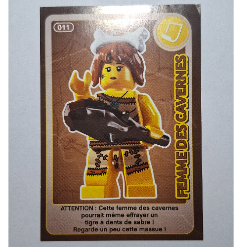 Visuel indicatif Rebrickable de Carte à collectionner pour coffret TRADINGCARD-12, #011 motif imprimé (Trading Card for Set TRADINGCARD-12, #011 Print)