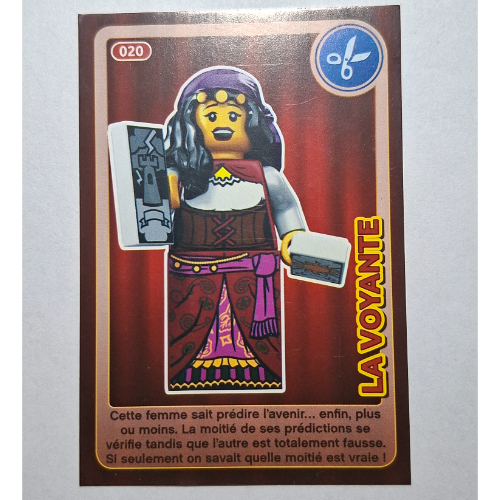 Visuel indicatif Rebrickable de Carte à collectionner pour jeu de cartes à collectionner 12, modèle imprimé 020 # (Trading Card for Set TRADINGCARD-12, #020 Print)
