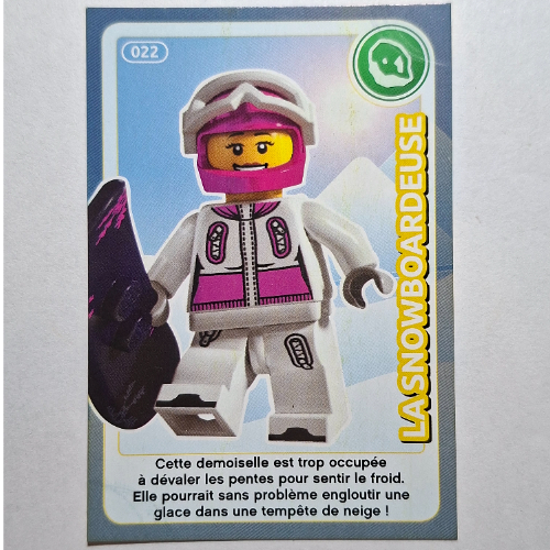 Visuel indicatif Rebrickable de Carte à collectionner pour coffret TRADINGCARD-12, motif imprimé #022 (Trading Card for Set TRADINGCARD-12, #022 Print)