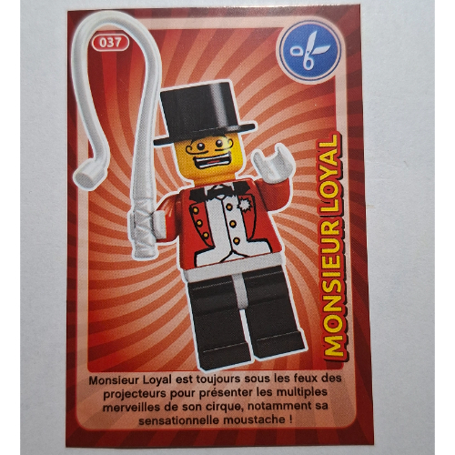 Visuel indicatif Rebrickable de Carte à collectionner pour coffret TRADINGCARD-12, #037 motif imprimé (Trading Card for Set TRADINGCARD-12, #037 Print)