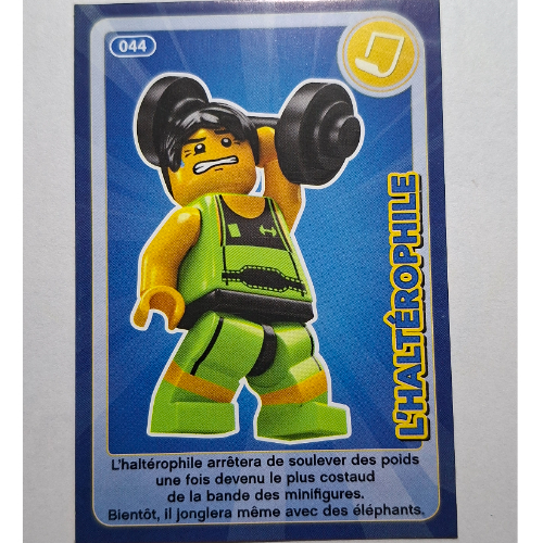 Visuel indicatif Rebrickable de Carte à collectionner pour coffret TRADINGCARD-12, motif imprimé #044 (Trading Card for Set TRADINGCARD-12, #044 Print)