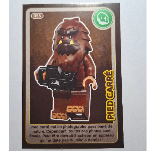 Visuel indicatif Rebrickable de Carte à collectionner pour coffret TRADINGCARD-12, motif imprimé #053 (Trading Card for Set TRADINGCARD-12, #053 Print)