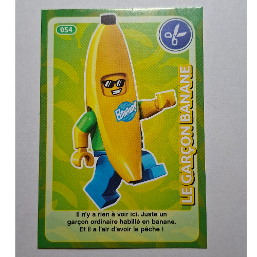 Visuel indicatif Rebrickable de Carte à collectionner pour coffret TRADINGCARD-12, motif imprimé #054 (Trading Card for Set TRADINGCARD-12, #054 Print)