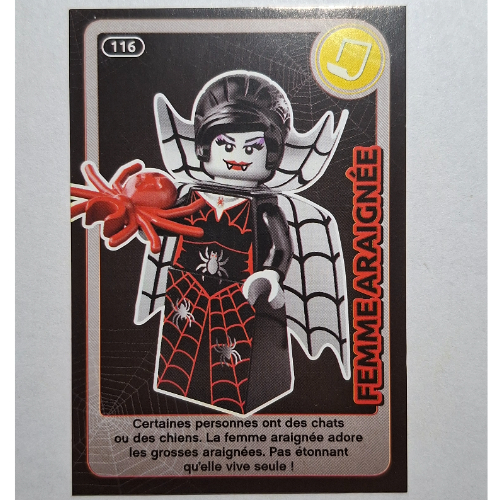 Visuel indicatif Rebrickable de Carte à collectionner pour coffret TRADINGCARD-12, motif imprimé #116 (Trading Card for Set TRADINGCARD-12, #116 Print)
