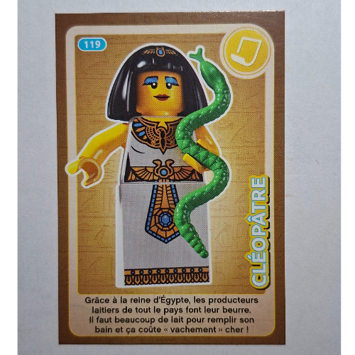 Visuel indicatif Rebrickable de Carte à collectionner pour coffret TRADINGCARD-12, motif imprimé #119 (Trading Card for Set TRADINGCARD-12, #119 Print)