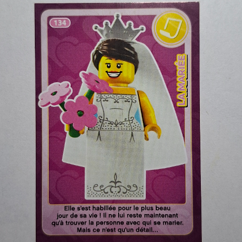 Visuel indicatif Rebrickable de Carte à collectionner pour coffret TRADINGCARD-12, motif imprimé #134 (Trading Card for Set TRADINGCARD-12, #134 Print)