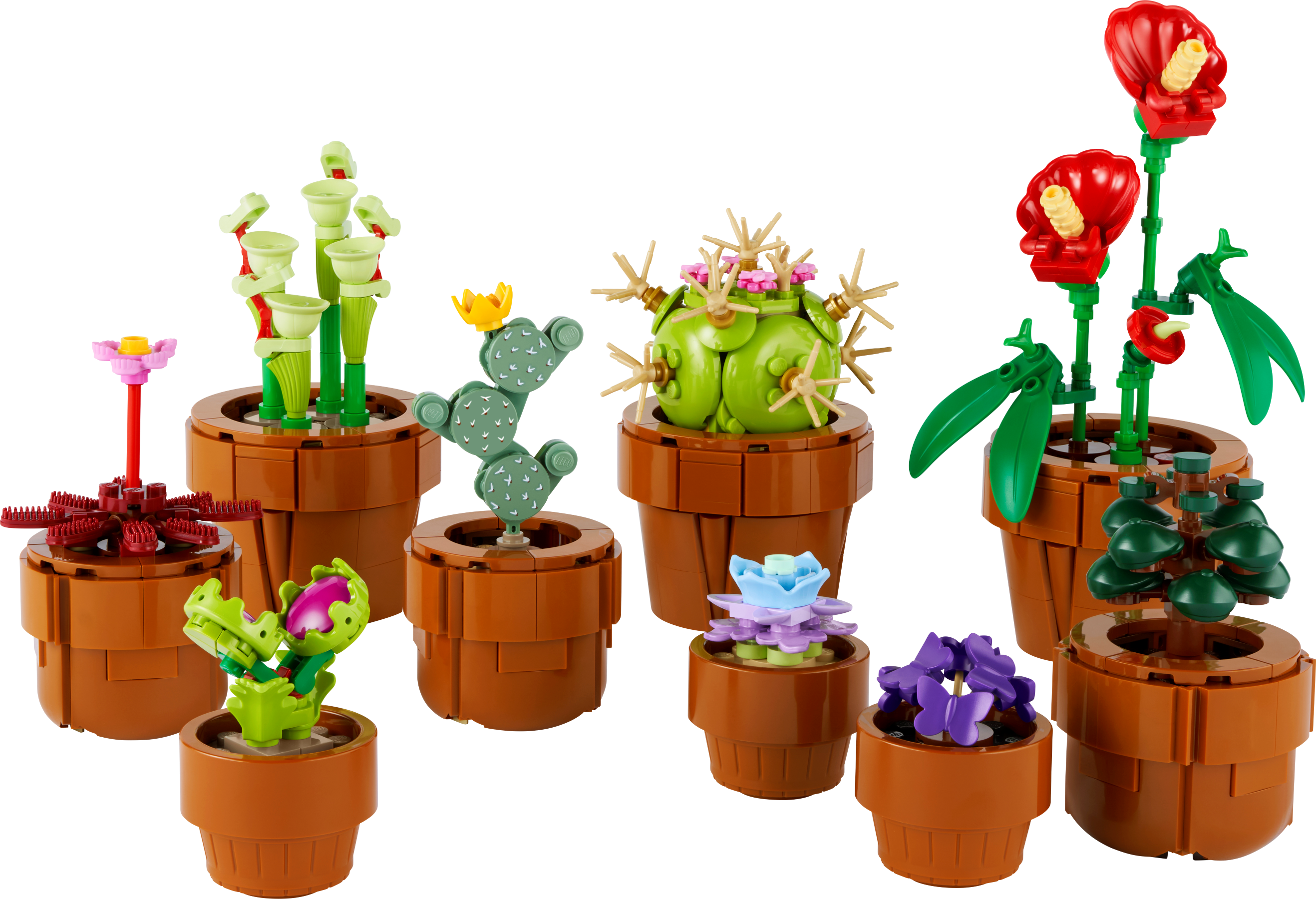 Petites plantes (Tiny Plants)